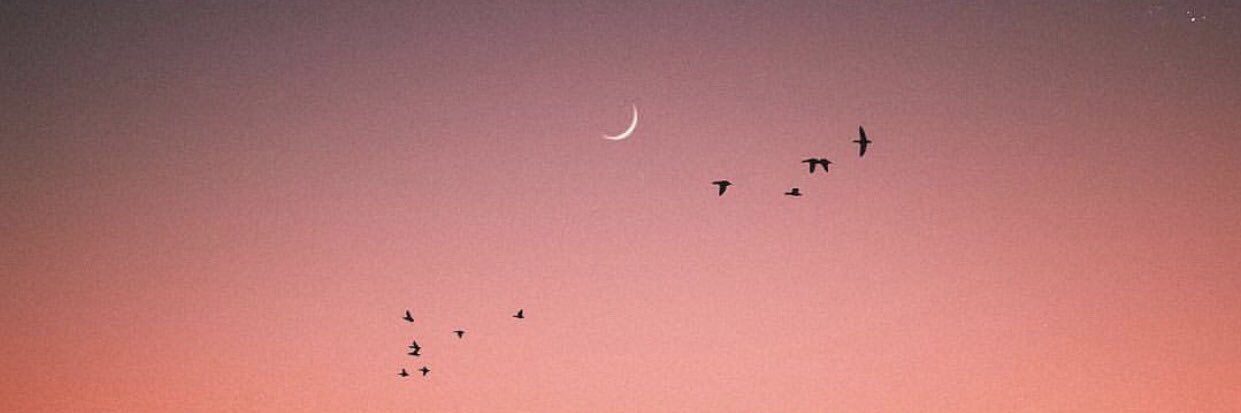 fancynewwatever's profile banner image