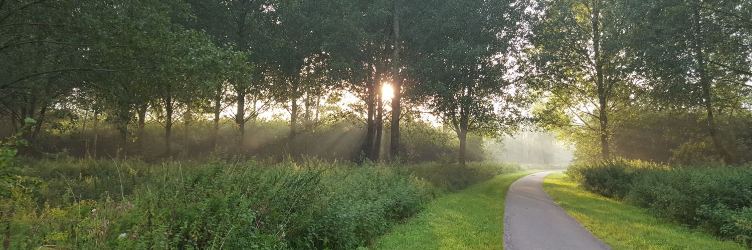 Frans Speelman banner