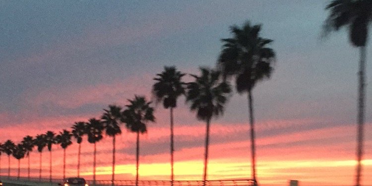 taylorfite's profile banner image