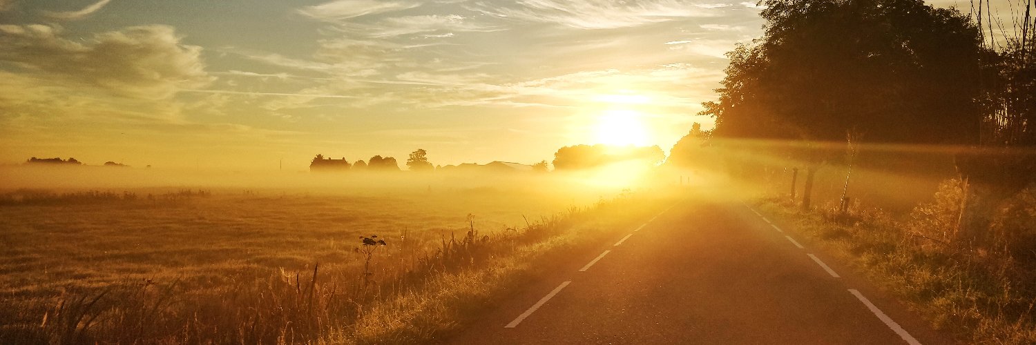 Vladimir Dolzhenko banner