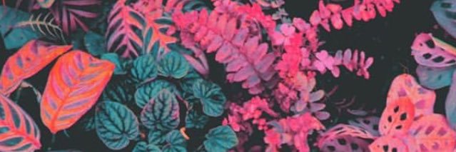 toronel01's profile banner image
