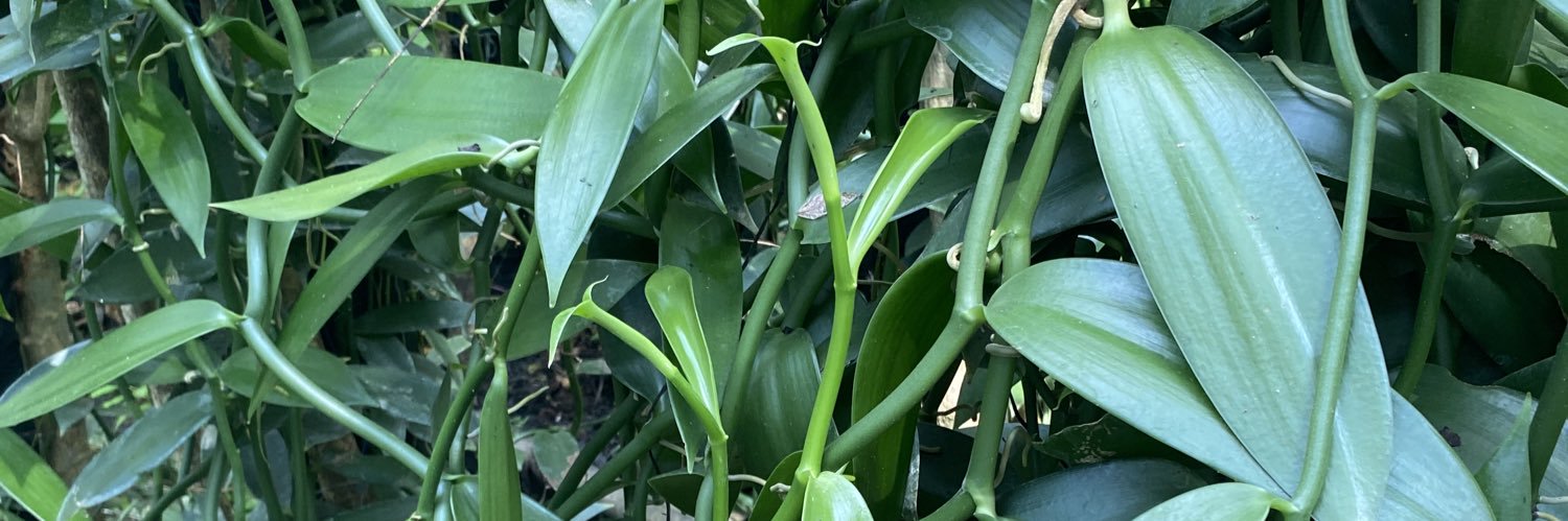 agroproyectos's profile banner image