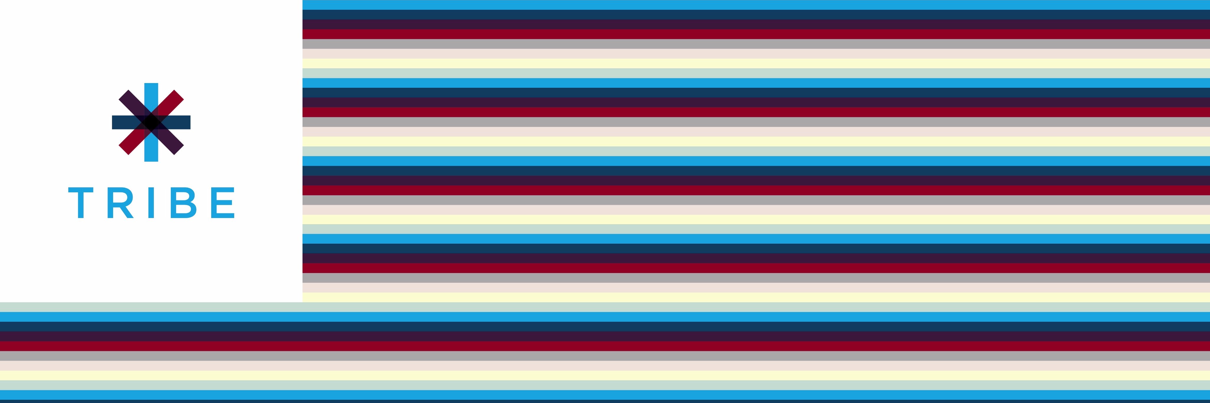 Elizabeth Baskin banner