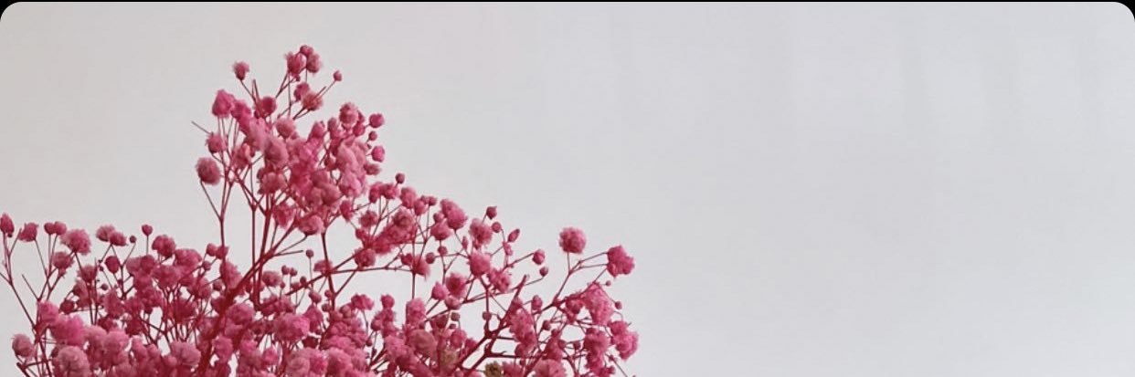 Douaahossainy's profile banner image