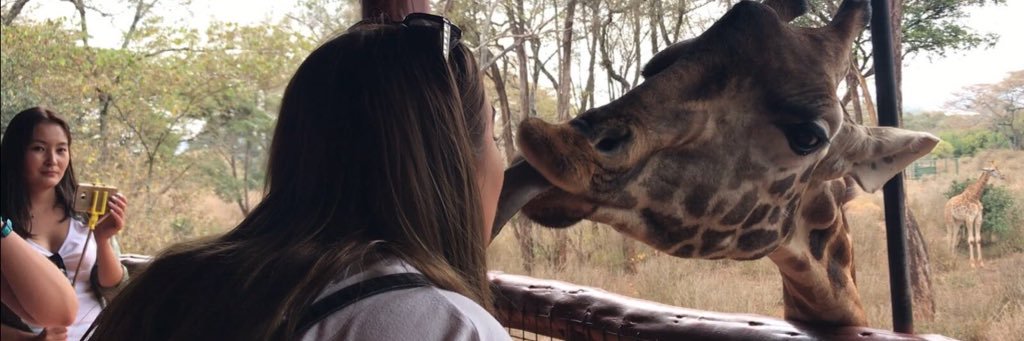 EmilyStathamm's profile banner image
