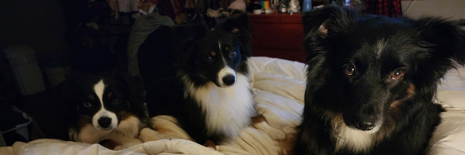 KellyDaBunny's profile banner image