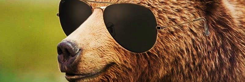 Ranga14's profile banner image
