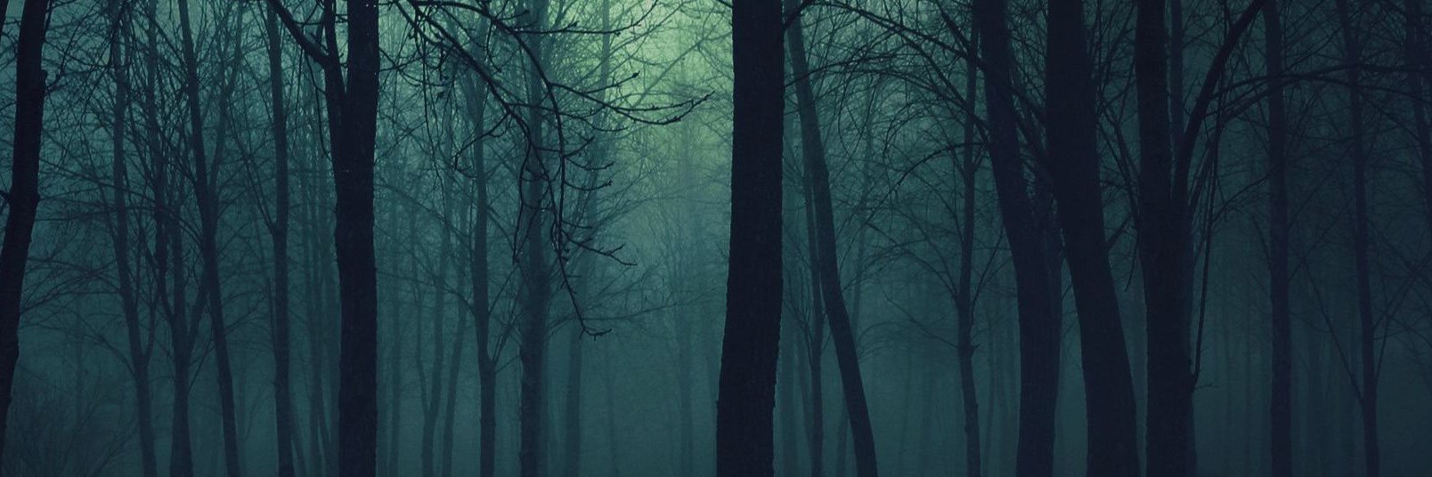 TrueNorwegianBM's profile banner image