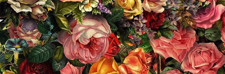 lynnestco's profile banner image