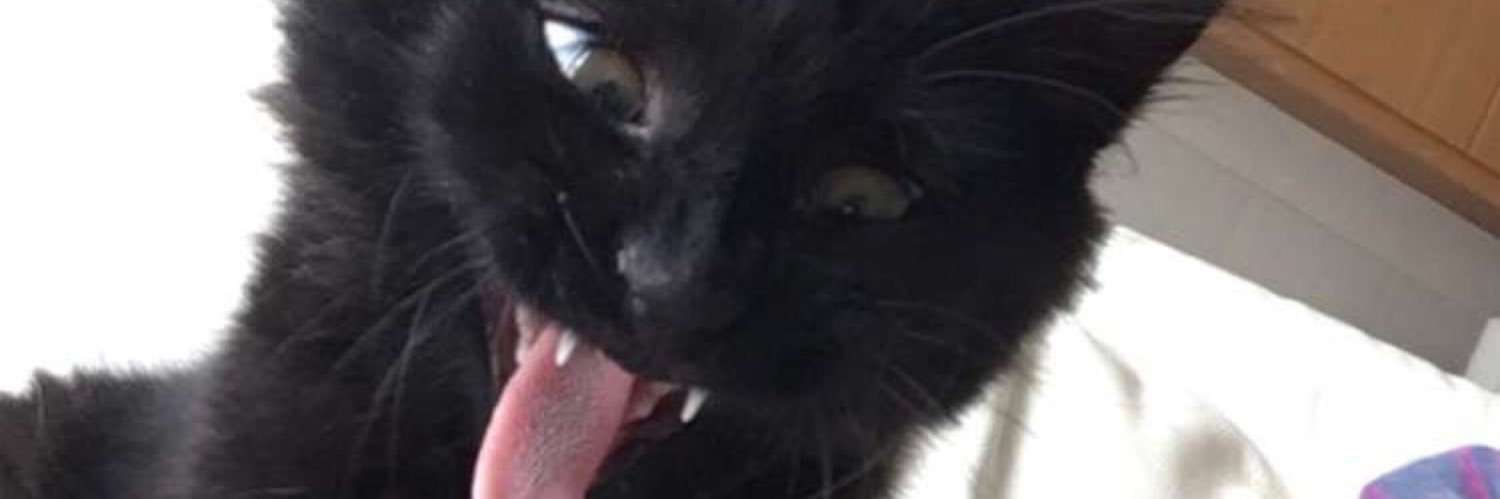 NomFlorian's profile banner image