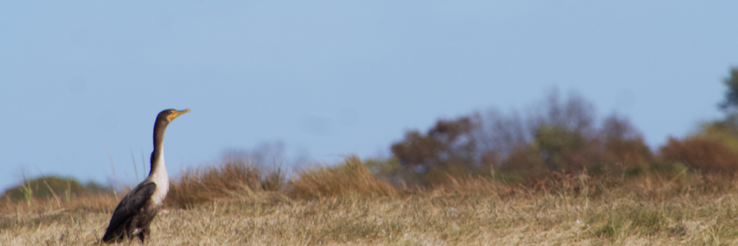 beckerben's profile banner image