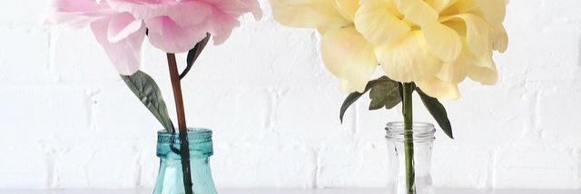 roisineve's profile banner image