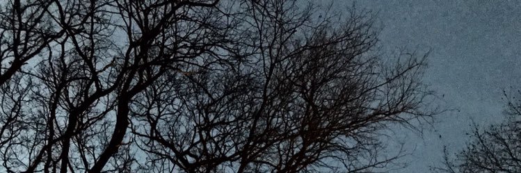 itsbuttik's profile banner image