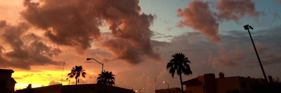 a_lexis96's profile banner image