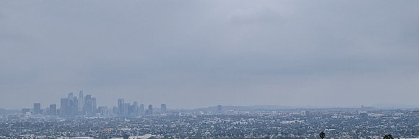 amirynn Profile Banner