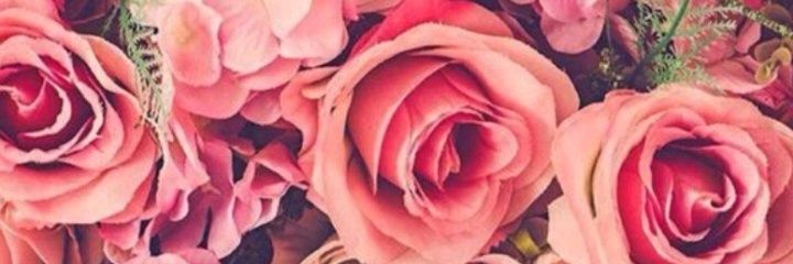 oneketket's profile banner image