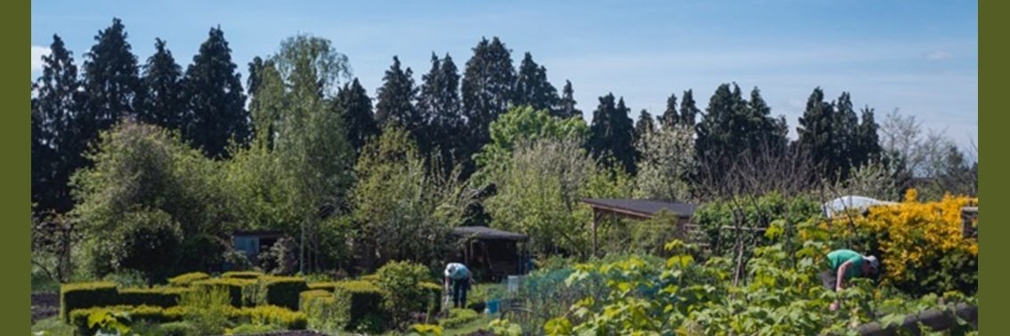 Bath Organic Group banner