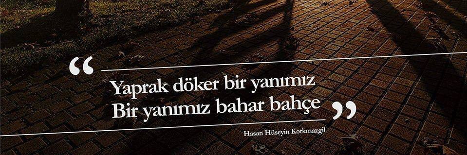 nese_nese_nese's profile banner image