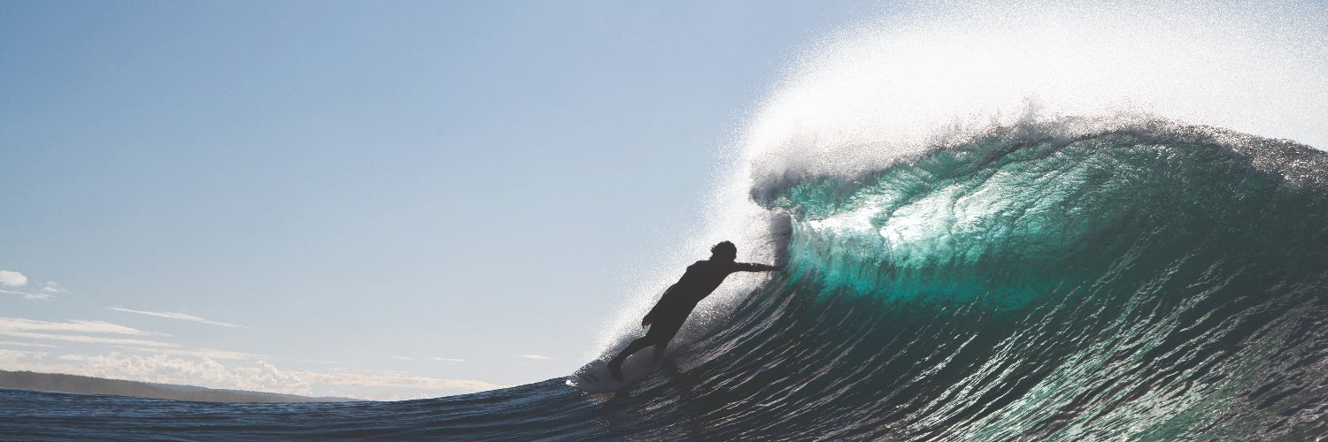 The Surfer's Journal banner