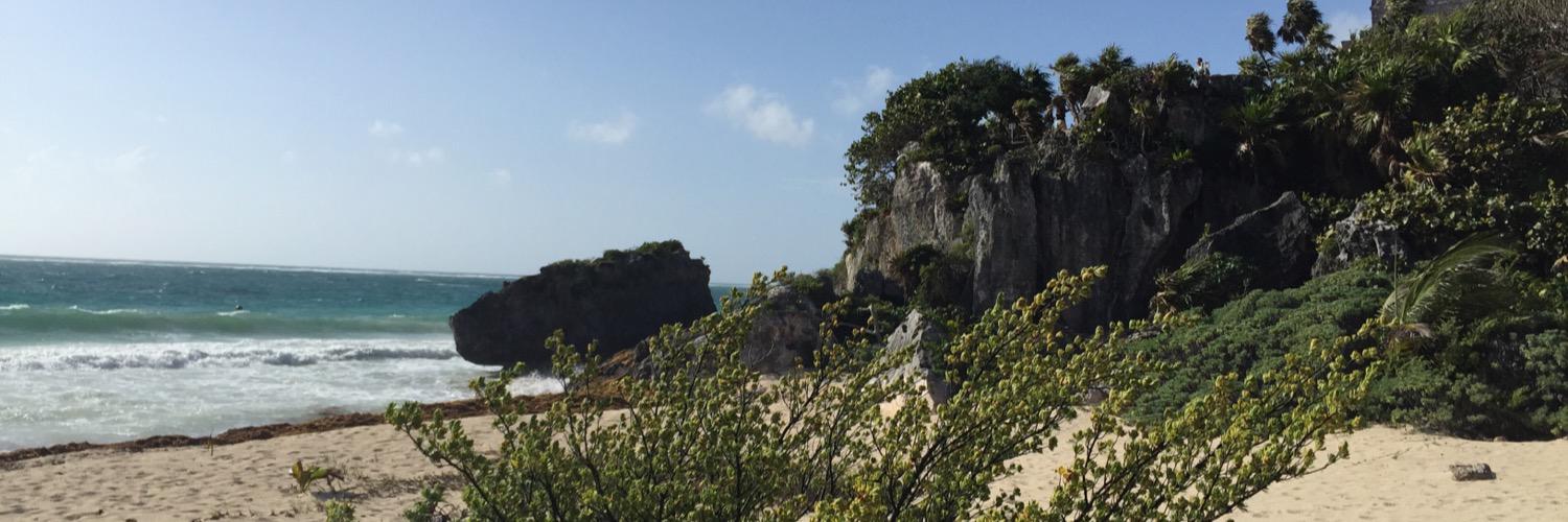 OrangeAddikkT's profile banner image