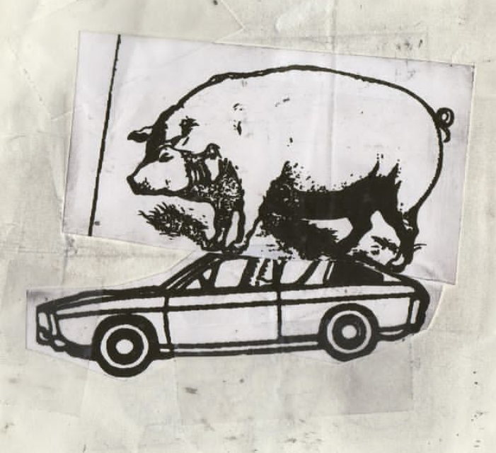 runpeltinsky's profile banner image