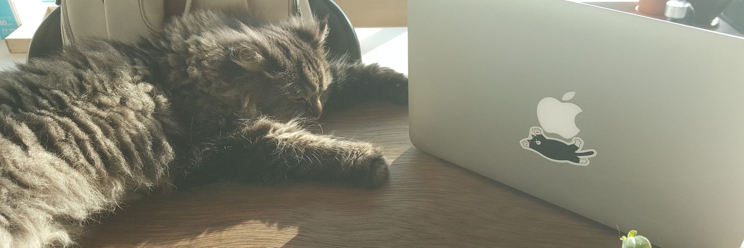 JUho_the_bohem banner