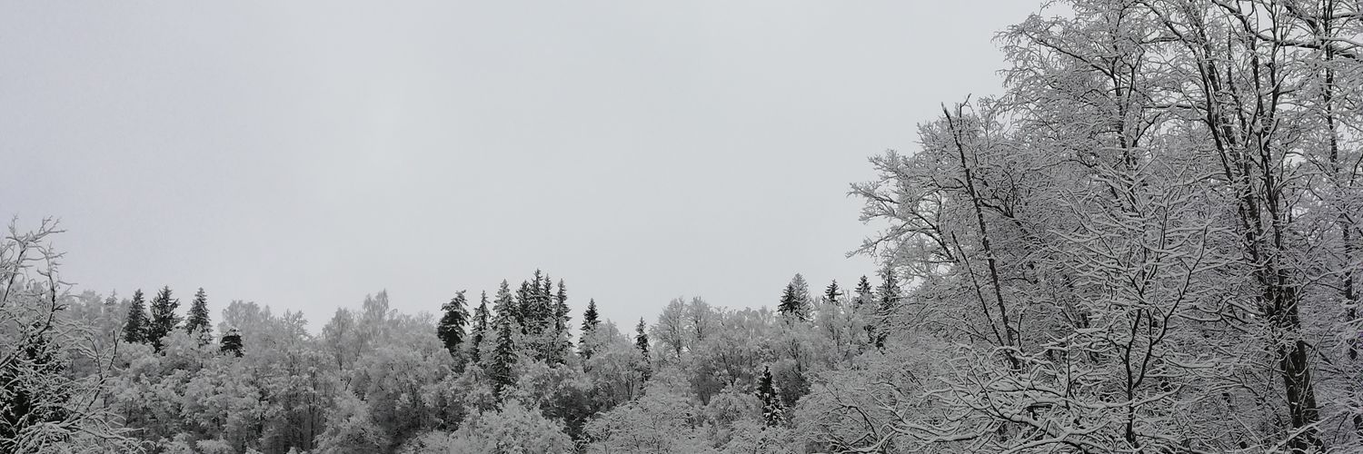 MadarsBititis's profile banner image