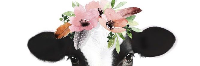 hsnaquin's profile banner image