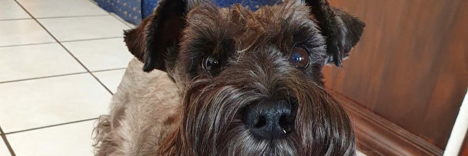 garauz84's profile banner image