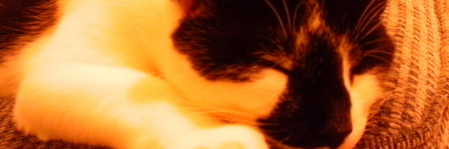 Debh111's profile banner image