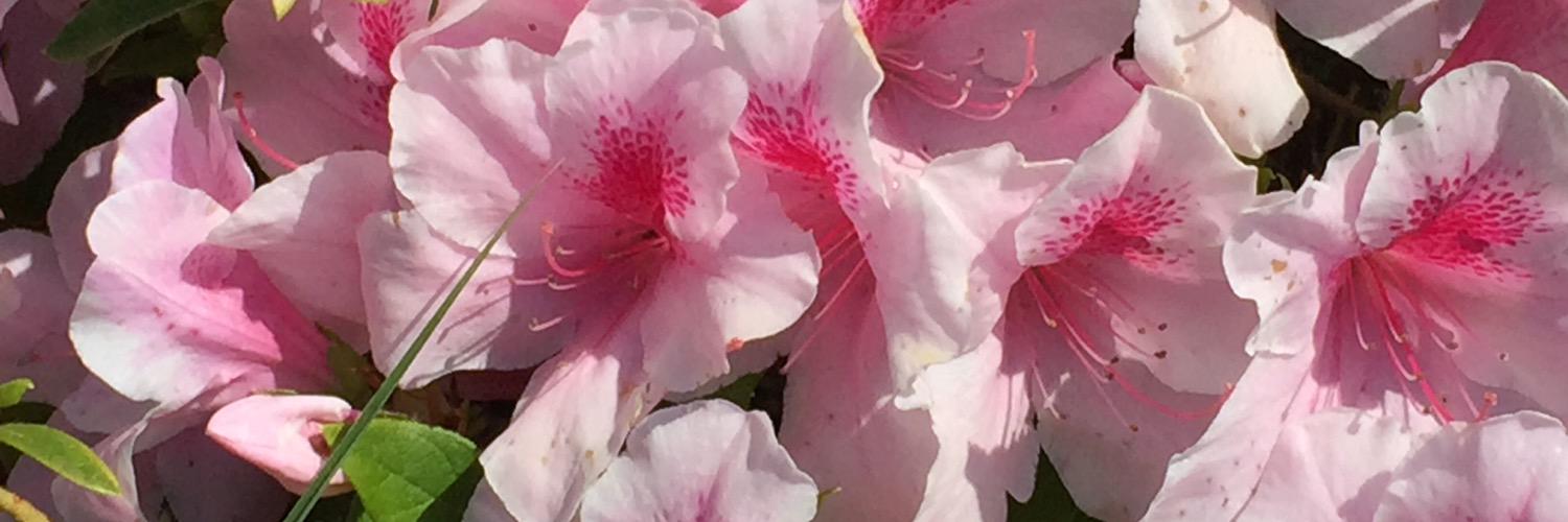 fuu555's profile banner image