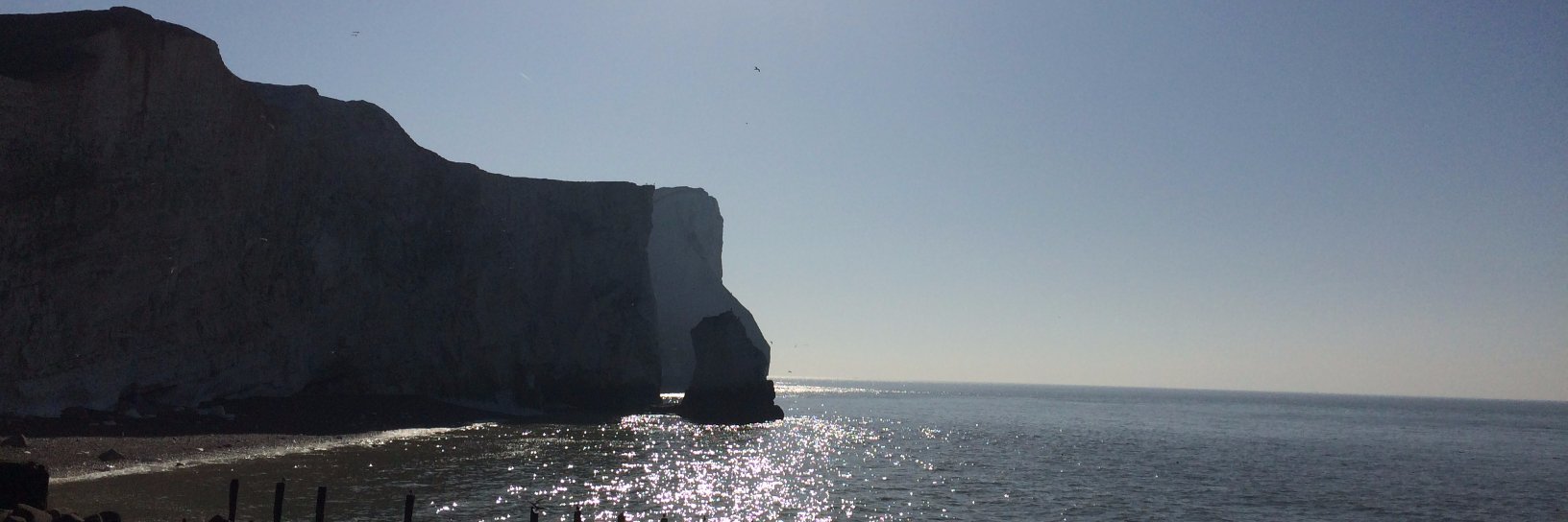 Splash Point Music / Splash Point Jazz 🎷 banner