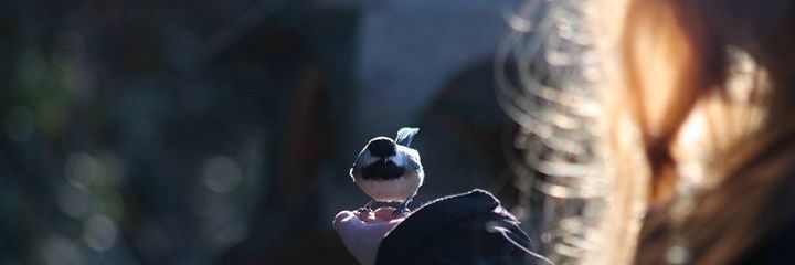 lovelyLLM's profile banner image