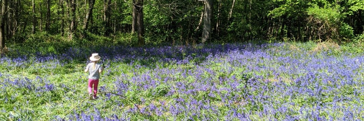 Sarah Banting banner