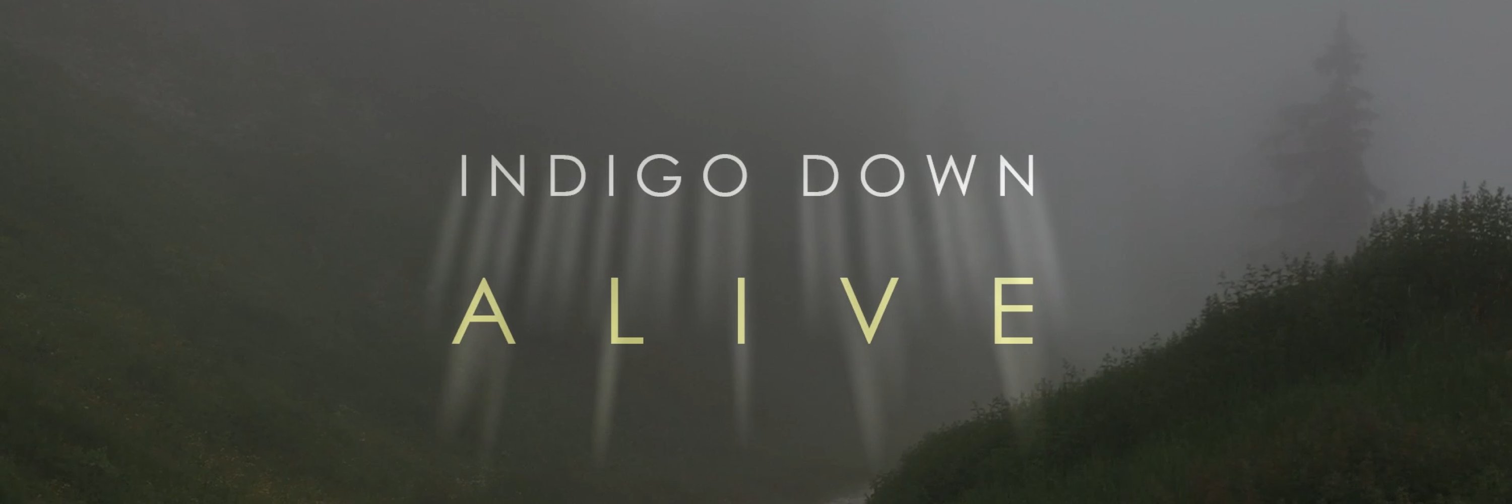 indigodown's profile banner image