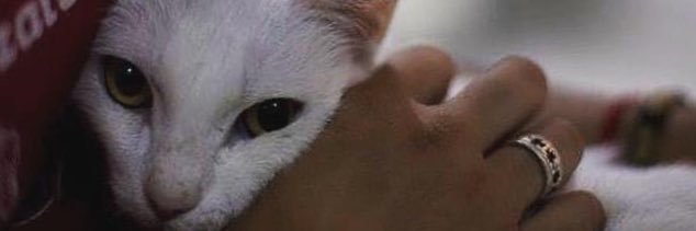 fatima_efece's profile banner image