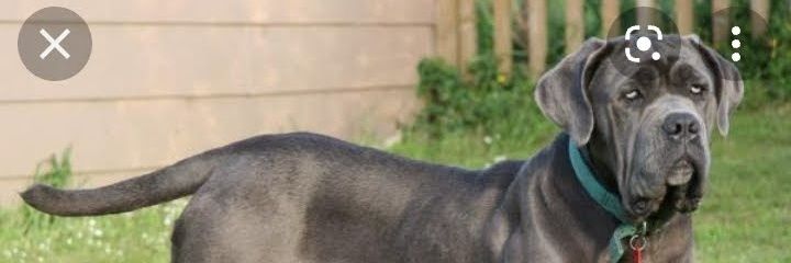gregorijesus's profile banner image