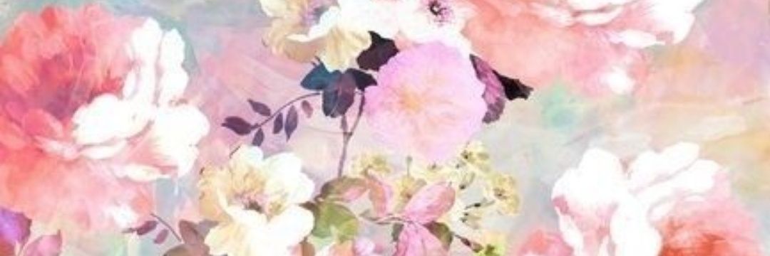 sophhh141's profile banner image