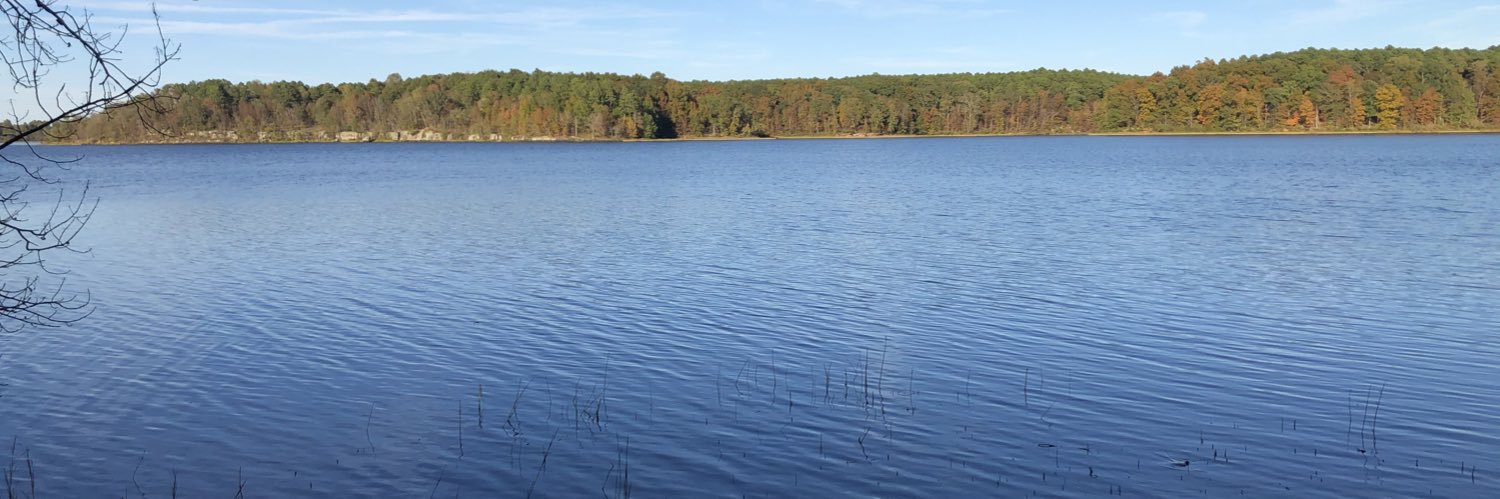 Davos Smithy Smithereen 🥸 banner