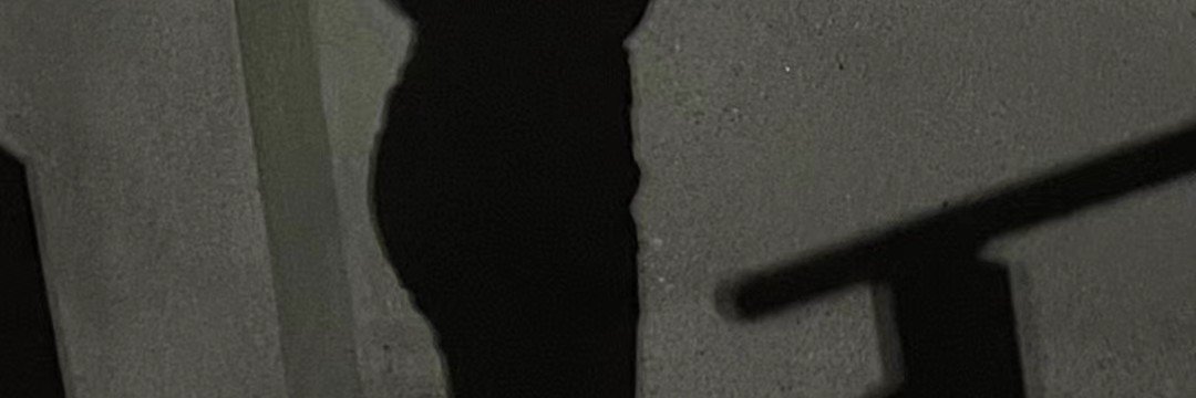Wang1111nip's profile banner image