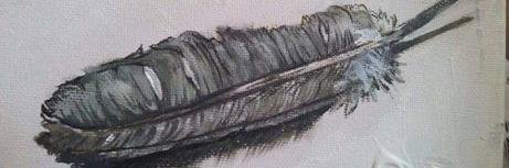Finundra's profile banner image
