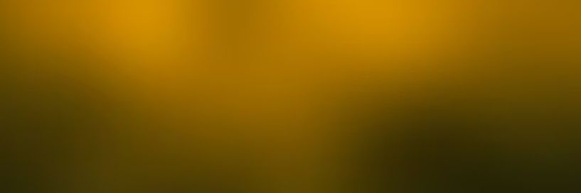 Camilo808's profile banner image