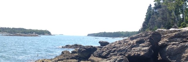 Richard Pizzi banner