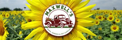 Maxwells01824's profile banner image