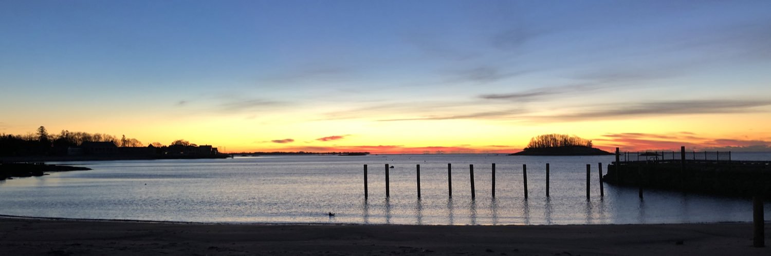 David Rosenthal MD banner