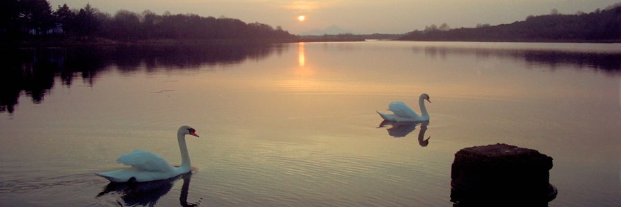 Visit Castlebar banner