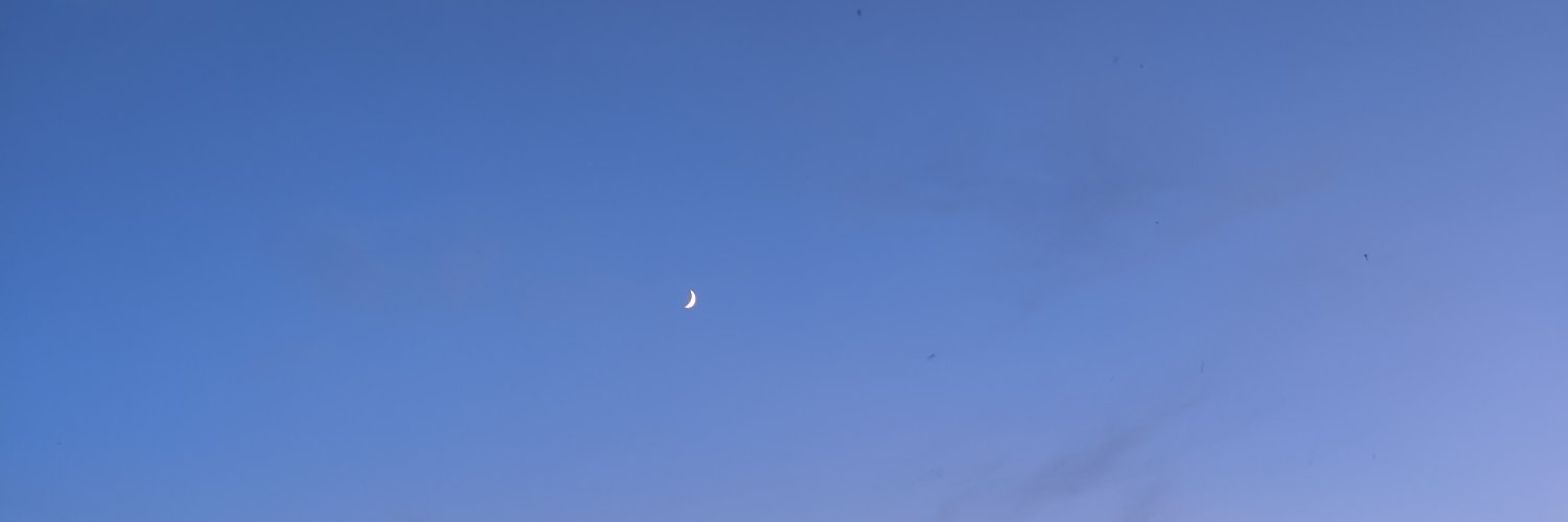 MLucePLegros's profile banner image