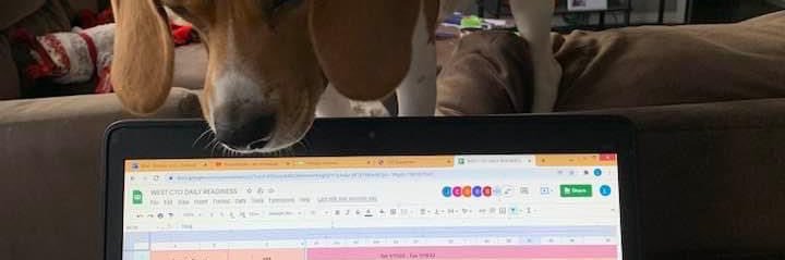 labrooksie's profile banner image