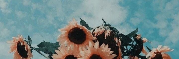 aleexandraa2000's profile banner image
