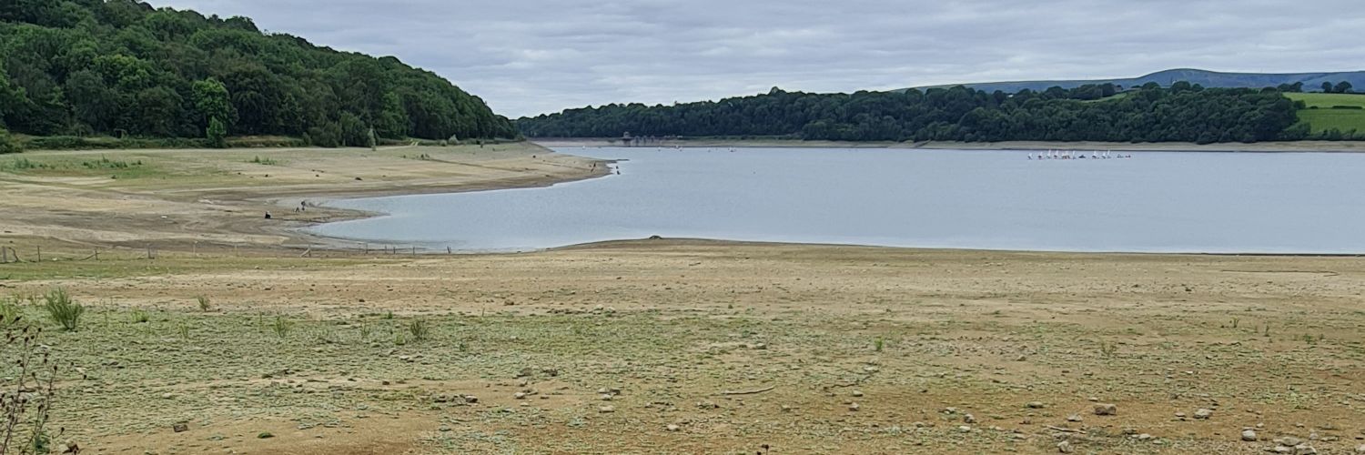 Lynda Astell (she/her/hers) banner